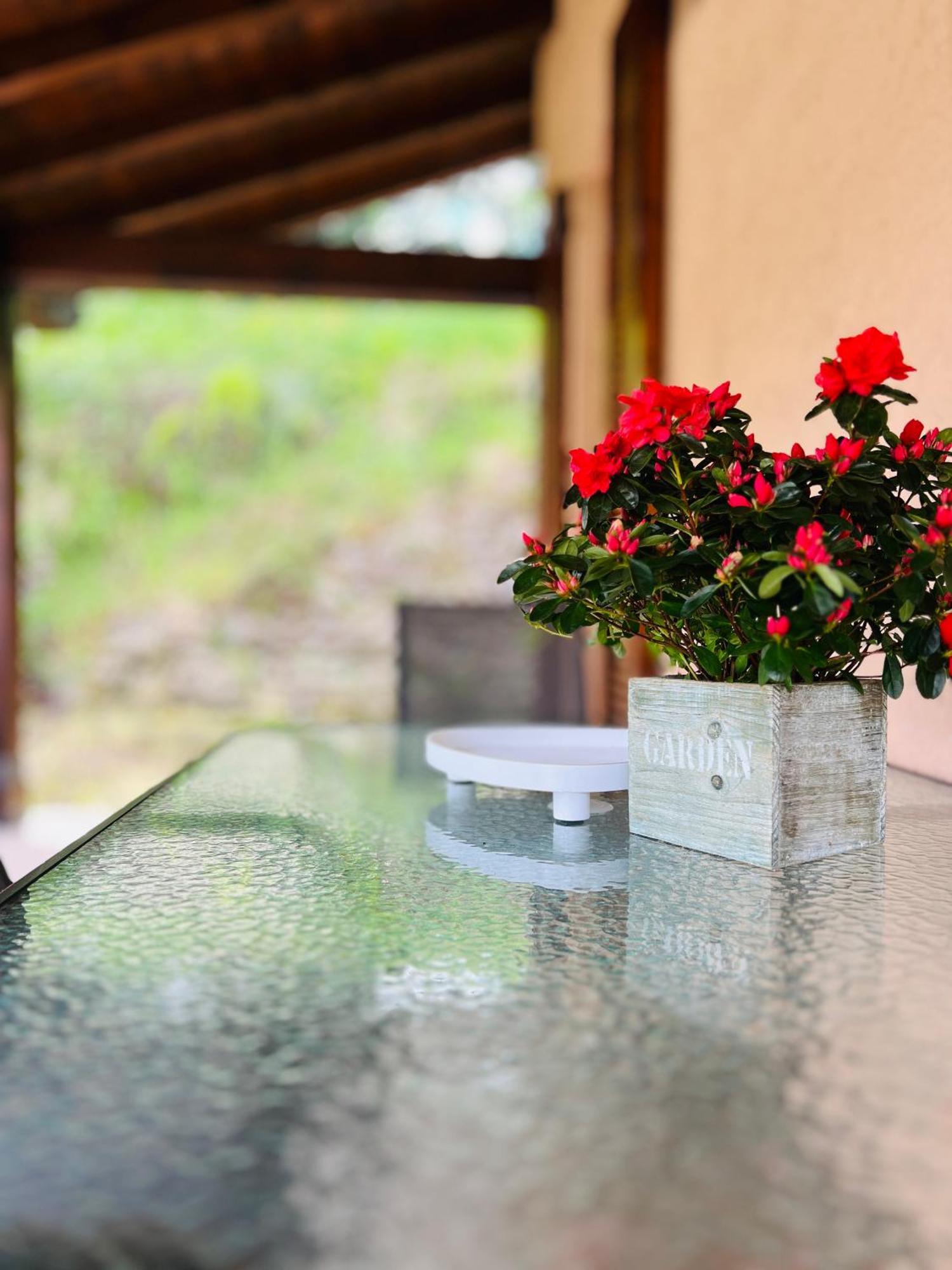 Vakantiehuis L'Acero Rosso - Giardino Privato E Box Auto Menaggio