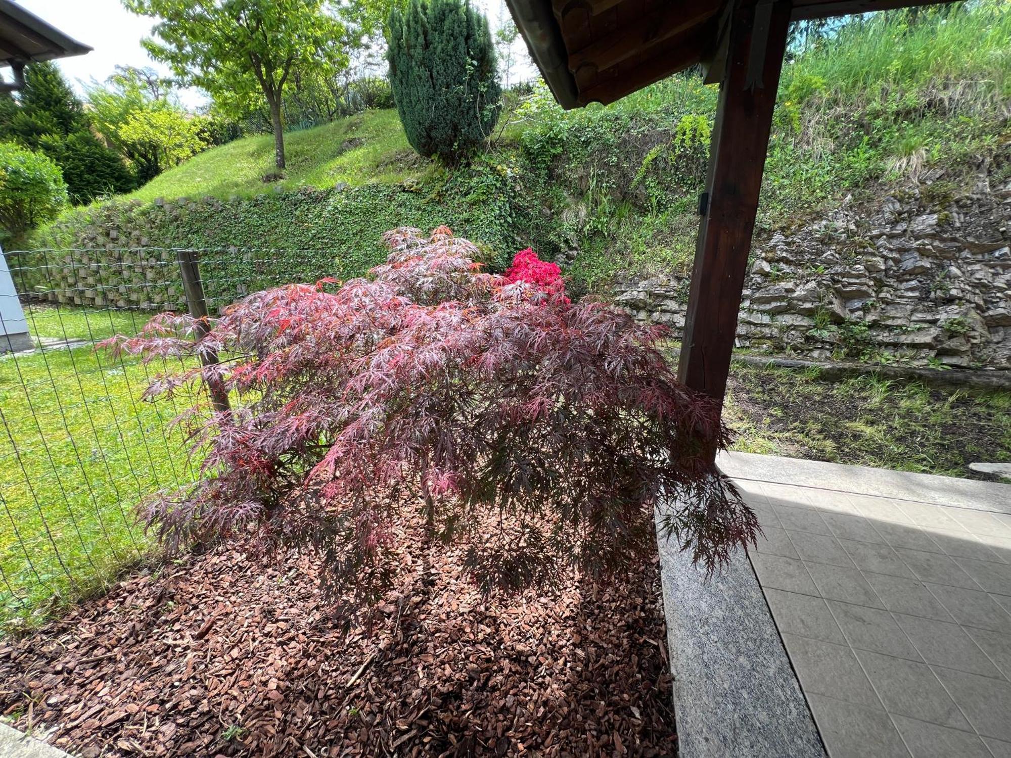 L'Acero Rosso - Giardino Privato E Box Auto * Menaggio